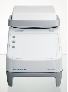 德國艾本德(Eppendorf)Mastercycler? nexus gradient eco梯度 PCR 儀