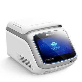 杭州博日PCR儀基因擴(kuò)增儀GeneExplorer/TC-96/G/H(b)B TC-EA-B-384GA TC-EA-B-41A TC-XP-D