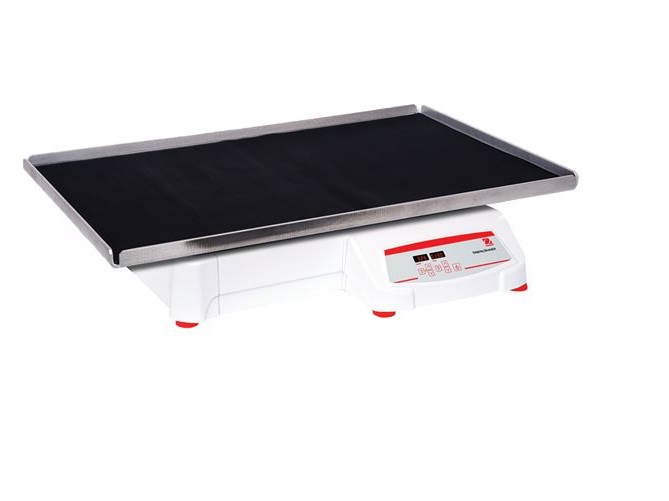 美國奧豪斯，OHAUS，脫色搖床，回旋振蕩器，圓周振蕩器，大負載圓周式搖床，SHHD6825DG