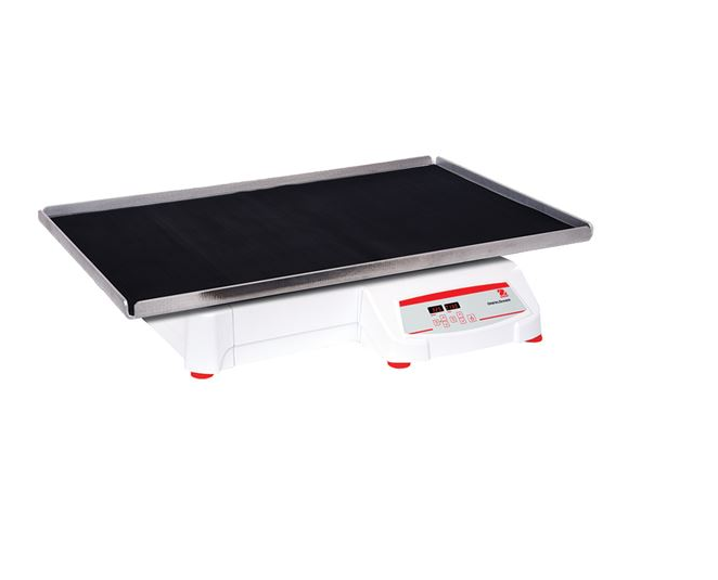 美國奧豪斯，OHAUS，脫色搖床，回旋振蕩器，圓周振蕩器，大負載圓周式搖床，SHHD6850DG